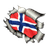 NO_R emblem