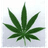 LKBH emblem