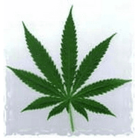 LKBH emblem