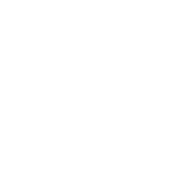 WP emblem