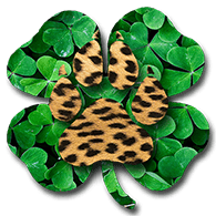 0__0 emblem