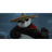 PANDQ emblem
