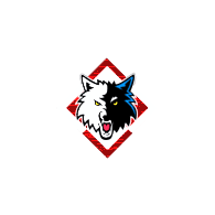 -N-H- emblem