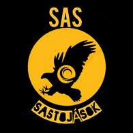 --SAS emblem