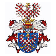 CT-M emblem