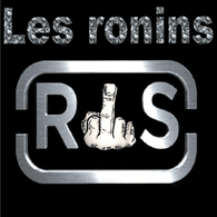 R_I_S emblem