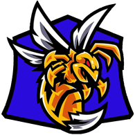 HO_CS emblem