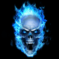 E4S emblem