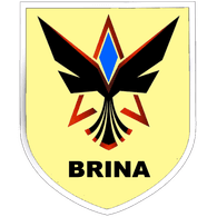 BRINA emblem