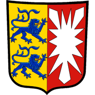 H_H-S emblem