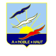 V-M-F emblem