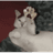 24242 emblem