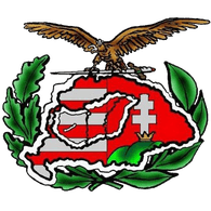 51PVZ emblem