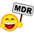 LMDR emblem