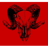 _13TH emblem