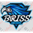 BRISS emblem