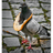 MORDO emblem