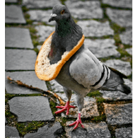 MORDO emblem