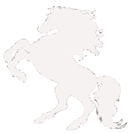 22BP emblem