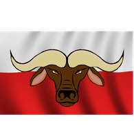 21-PL emblem