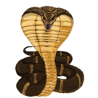 KCT emblem