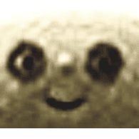 CHODE emblem