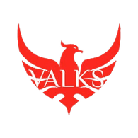 VALKS emblem
