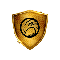 DP_N emblem