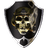 HSECS emblem