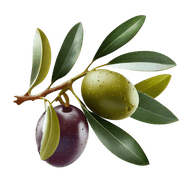 OL1VE emblem