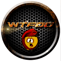 WTFDD emblem