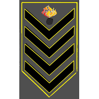 GR-80 emblem