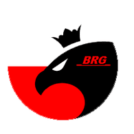 _BRG_ emblem