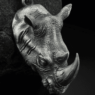 RHIN emblem