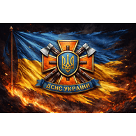 DSN_S emblem