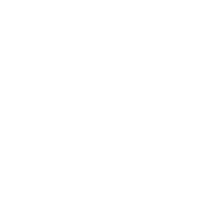 G-8 emblem
