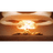 CSARG emblem