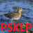 PSKLP emblem