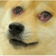 DOGGA emblem