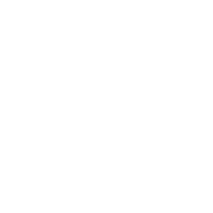 -A_L- emblem