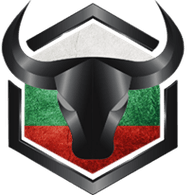 IB_BG emblem
