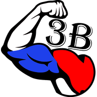 _3B_ emblem
