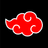 PA1N emblem