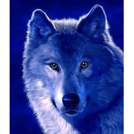 V_OLK emblem