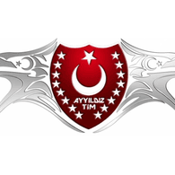 A_Y_T emblem