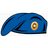 VDV10 emblem