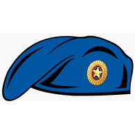 VDV10 emblem