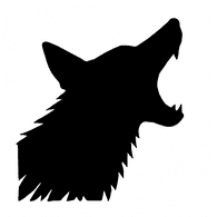 ZS-CZ emblem