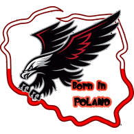 POL22 emblem