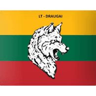 LT-DV emblem